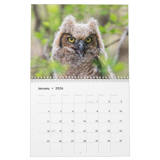 Eulen 2026 kalender (Jan 2026)