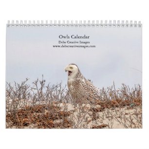 Eulen 2026 kalender