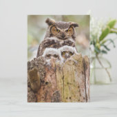 Eulen auf danken Sie kardieren Dankeskarte (Stehend Vorderseite)