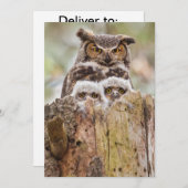 Eulen auf danken Sie kardieren Dankeskarte (Vorne/Hinten)