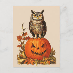 EULEN auf einem Halloween-Kürbis und Herbstlaub Feiertagspostkarte