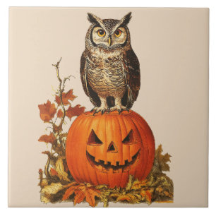 EULEN auf einem Halloween-Kürbis und Herbstlaub Fliese