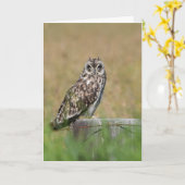 Eulen-Aufstellung Karte (Gelbe Blume)