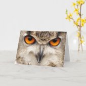 Eulen-Augen, Augen der Eagle-Eulen-Fotografie Karte (Gelbe Blume)