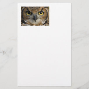 Eulen-Augen Briefpapier