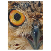 Eulen-Augen Klemmbrett (Rückseite)