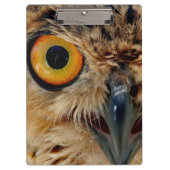 Eulen-Augen Klemmbrett (Vorderseite)