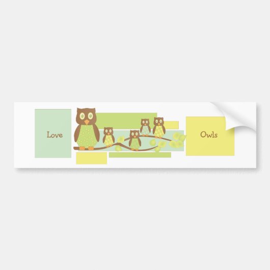 Eulen Autoaufkleber (Vorne)