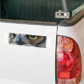 Eulen-Autoaufkleber Autoaufkleber (Auf Lkw)