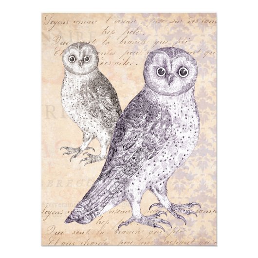 Eulen beobachten Vintage Collage Fotodruck (Vorne)