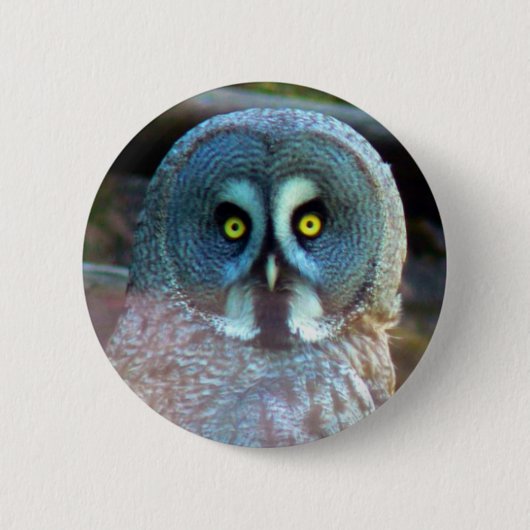 Eulen-Button Button (Vorderseite)