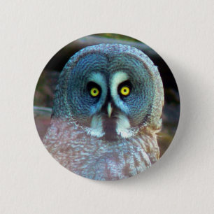Eulen-Button Button
