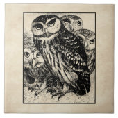 Eulen Fliese (Vorderseite)