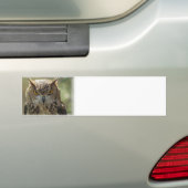 Eulen-Foto-Autoaufkleber Autoaufkleber (Auf Auto)