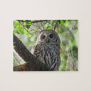 Eulen-Foto Puzzle