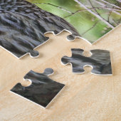 Eulen-Foto Puzzle (Seite)