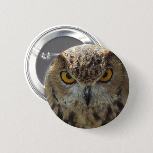Eulen-Foto-runder Knopf Button (Vorne & Hinten)