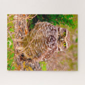 Eulen - Greifvögel. Puzzle (Horizontal)