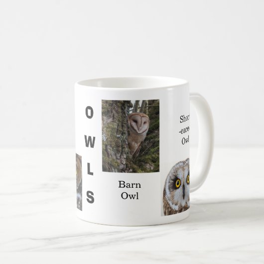 Eulen Kaffeetasse (VorderseiteRechts)