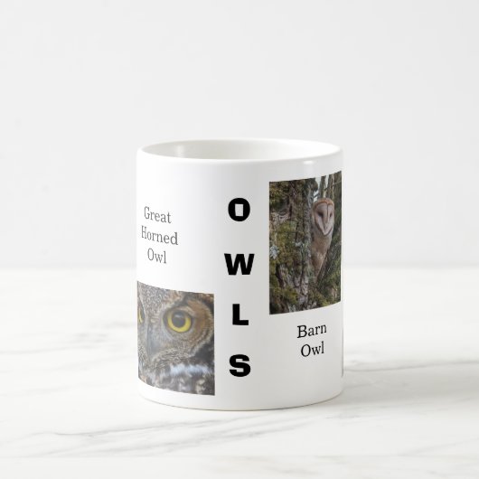 Eulen Kaffeetasse (Mittel)