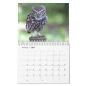 Eulen Kalender (Jan 2027)