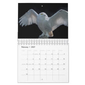 Eulen Kalender (Feb 2027)