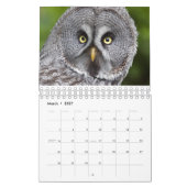 Eulen Kalender (Mär 2027)
