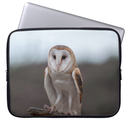 Eulen-Laptop-Hülse Laptopschutzhülle (Vorderseite)