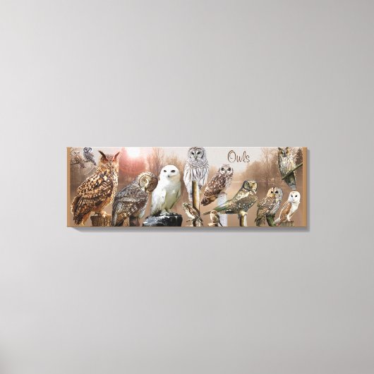 Eulen Leinwanddruck (Vorderseite)