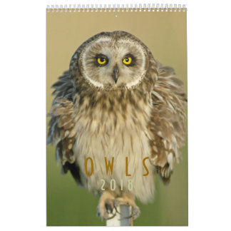 Eulen-Liebhaber-Wandkalender 2018 Kalender