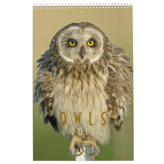 Eulen-Liebhaber-Wandkalender 2018 Kalender (Titelbild)