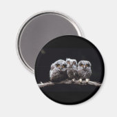 Eulen Magnet (Vorderseite/Rückseite)