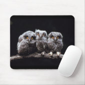 Eulen Mousepad (Mit Mouse)