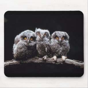 Eulen Mousepad