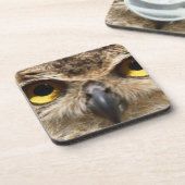 Eulen-Nahaufnahme Getränkeuntersetzer (Linke Seite)