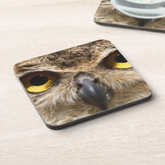 Eulen-Nahaufnahme Getränkeuntersetzer (Linke Seite)