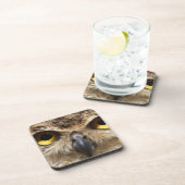 Eulen-Nahaufnahme Getränkeuntersetzer (Rechte Seite)