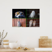 Eulen Poster (Küche)