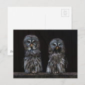 Eulen Postkarte (Vorne/Hinten)