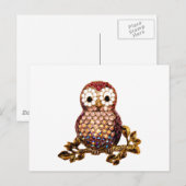 Eulen Postkarte (Vorne/Hinten)