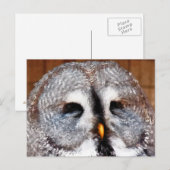 EULEN POSTKARTE (Vorne/Hinten)