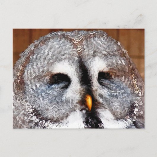 EULEN POSTKARTE (Vorderseite)