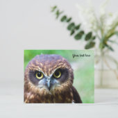 Eulen-Postkarte Postkarte (Stehend Vorderseite)