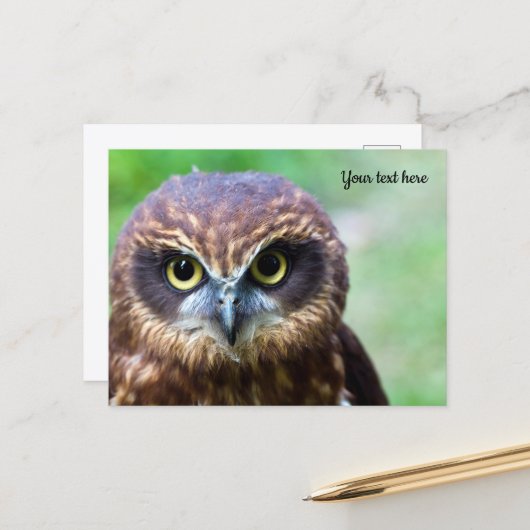 Eulen-Postkarte Postkarte (Vorderseite/Rückseite Beispiel)