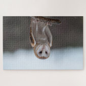 Eulen-Puzzlespiel Puzzle (Horizontal)
