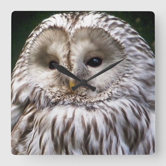 EULEN QUADRATISCHE WANDUHR (Vorderseite)