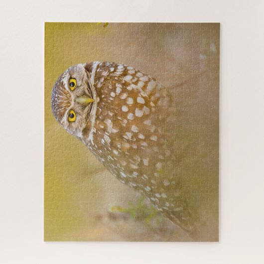 Eulen - Raubvögel. Jigsaw Puzzle (Vertikal)