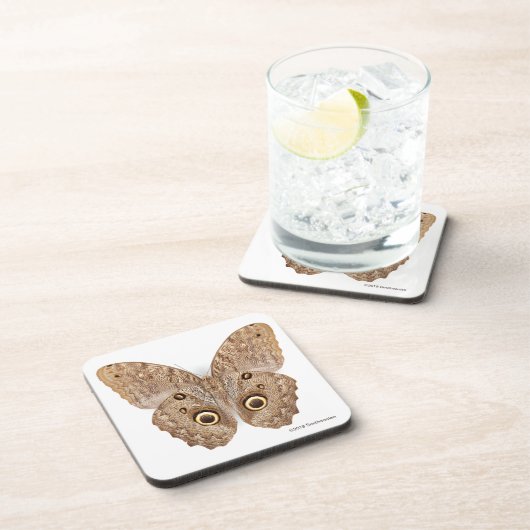 Eulen-Schmetterling Getränkeuntersetzer (Rechte Seite)