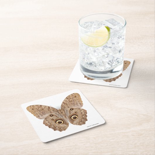 Eulen-Schmetterling Rechteckiger Pappuntersetzer (Vor Ort)