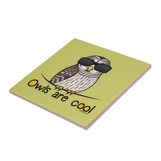 Eulen sind cool fliese (Seite)